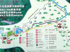 -野象谷景区