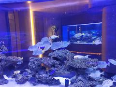 -上和臻品中国菜(花园街店)