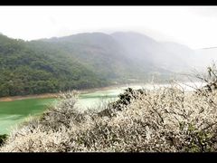 -广州市流溪河国家森林公园