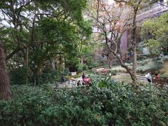 -香港大学