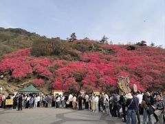 -木兰云雾山