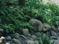 -成都市活水公园