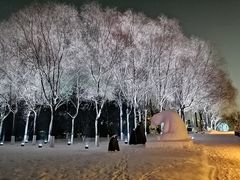 -长春世界雕塑园冰雪艺术天地