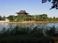 -海珠湖公园
