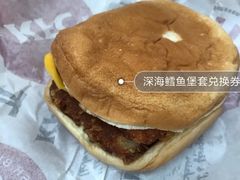 深海鳕鱼堡套兑换券-肯德基(环翠北店)