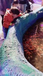 -酷嗒动物文化乐园(cutezoo西溪乐天城店)