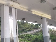 -惠阳站