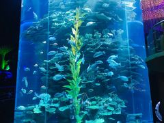-泉城欧乐堡海洋极地世界