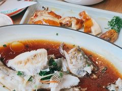 -新白鹿餐厅(城西银泰城店)