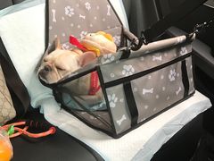 -丹世红酒庄·烧烤·团建·婚礼·水上运动