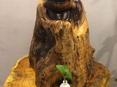 -金蚁康•经络调理•肩颈按摩(万达金街店)