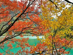 -叠溪松坪沟景区