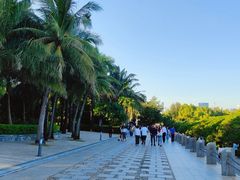 -深圳湾公园(南山区)