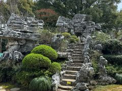 -上海鲜花港