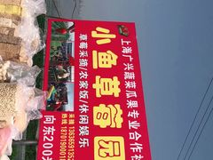 -小鱼草莓采摘园农家乐·小鱼餐厅