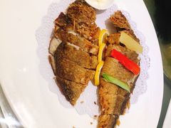 -骏莱海鲜鱼港(五角场店)