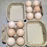 临海｜头文字D里的藤原豆腐店！卖鸡蛋仔？
