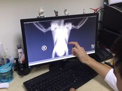 -美联众合动物医院·24h转诊中心