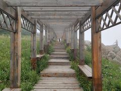 -白草畔自然风景区