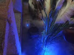 -绿茶餐厅(汇悦大融城店)