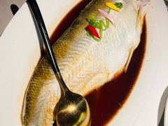 -醉庐·新上海菜(南京西路店)