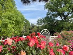 -国家植物园南园