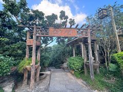 -大屏嶂森林公园