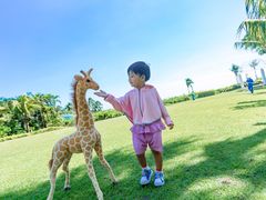 -三亚亚龙湾天域度假酒店