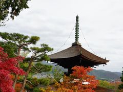 -常寂光寺