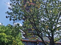 -塔子山公园