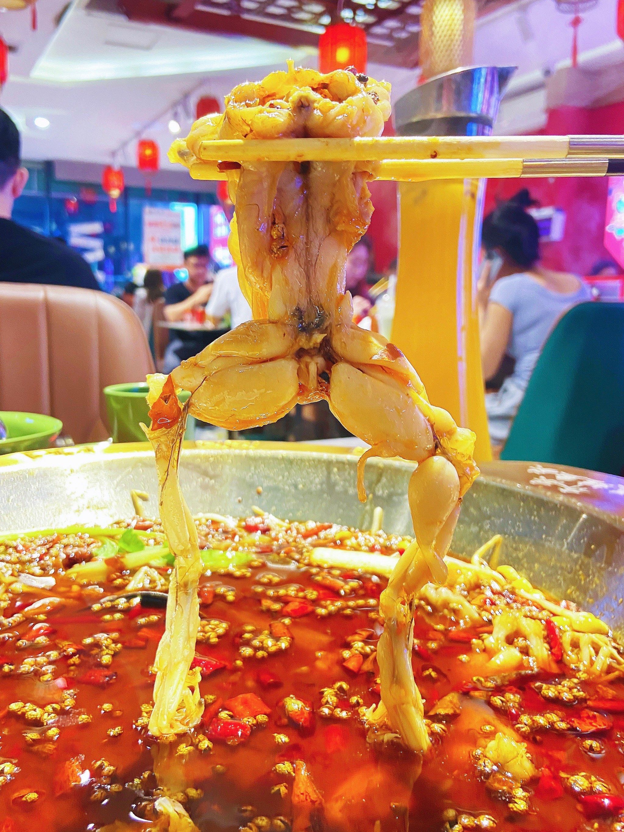 这家美蛙鱼头锅‼️真的香麻了