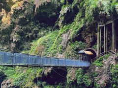 -马岭河峡谷风景区