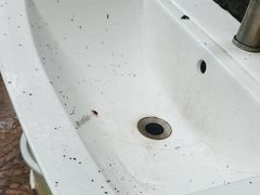 -中国大熊猫保护研究中心雅安碧峰峡基地