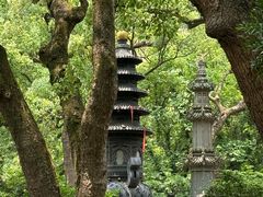 -普陀山风景名胜区-法雨禅寺