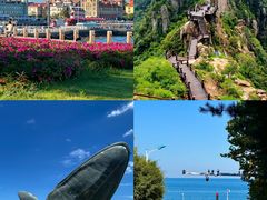 -烟台海昌鲸鲨海洋公园