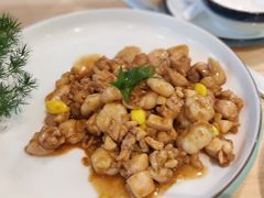 -丁老爷子苏香圆