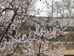 -安定门(地铁站)