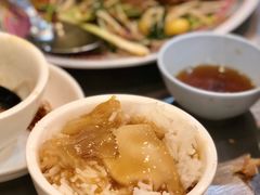 -大中鱼翅 Taitong Shark Fin