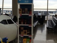 -约翰·菲茨杰拉德·肯尼迪国际机场