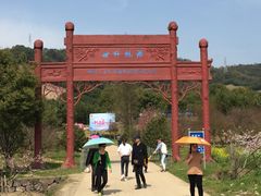 门面-新建村梅花