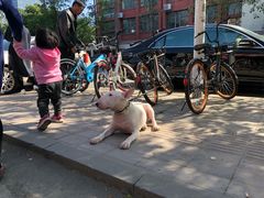 -二中酸辣汤(无锡梁溪区店)