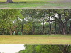 -东莞植物园