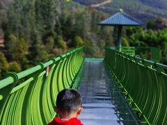 -世界恐龙谷景区