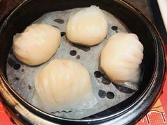 晶莹鲜虾饺-点点心点心专门店(旺角店)