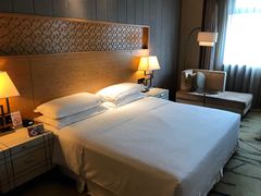 -西安赛瑞喜来登大酒店