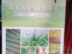 -喜湘宴·精致湖南菜(和平西桥店)