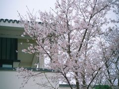 -湘湖金融镇