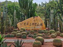 -深圳仙湖植物园