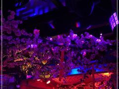 -周庄红庭演艺酒吧