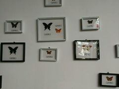 -红栌温泉山庄生态美食餐厅